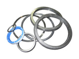 10719522 Seal Kit (Lull #P19522) | JLG