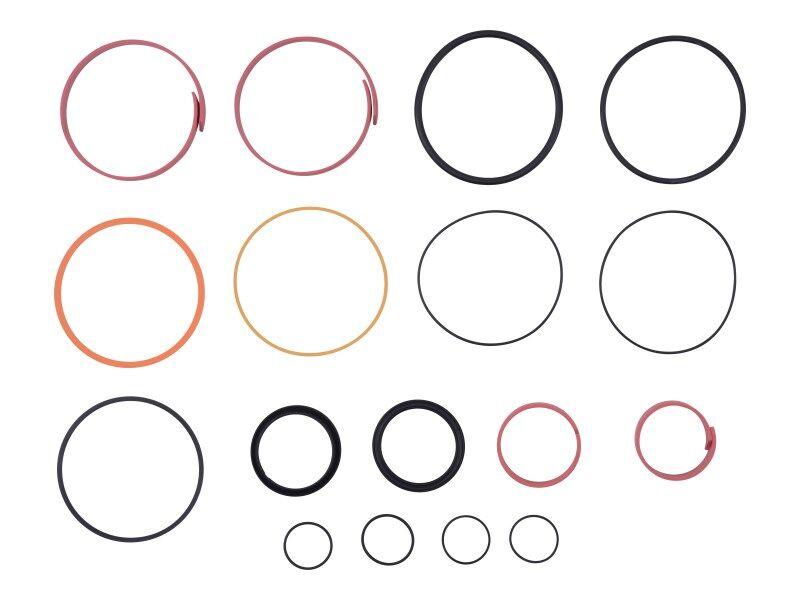 10724437 Seal Kit (Lull #P24437) | JLG
