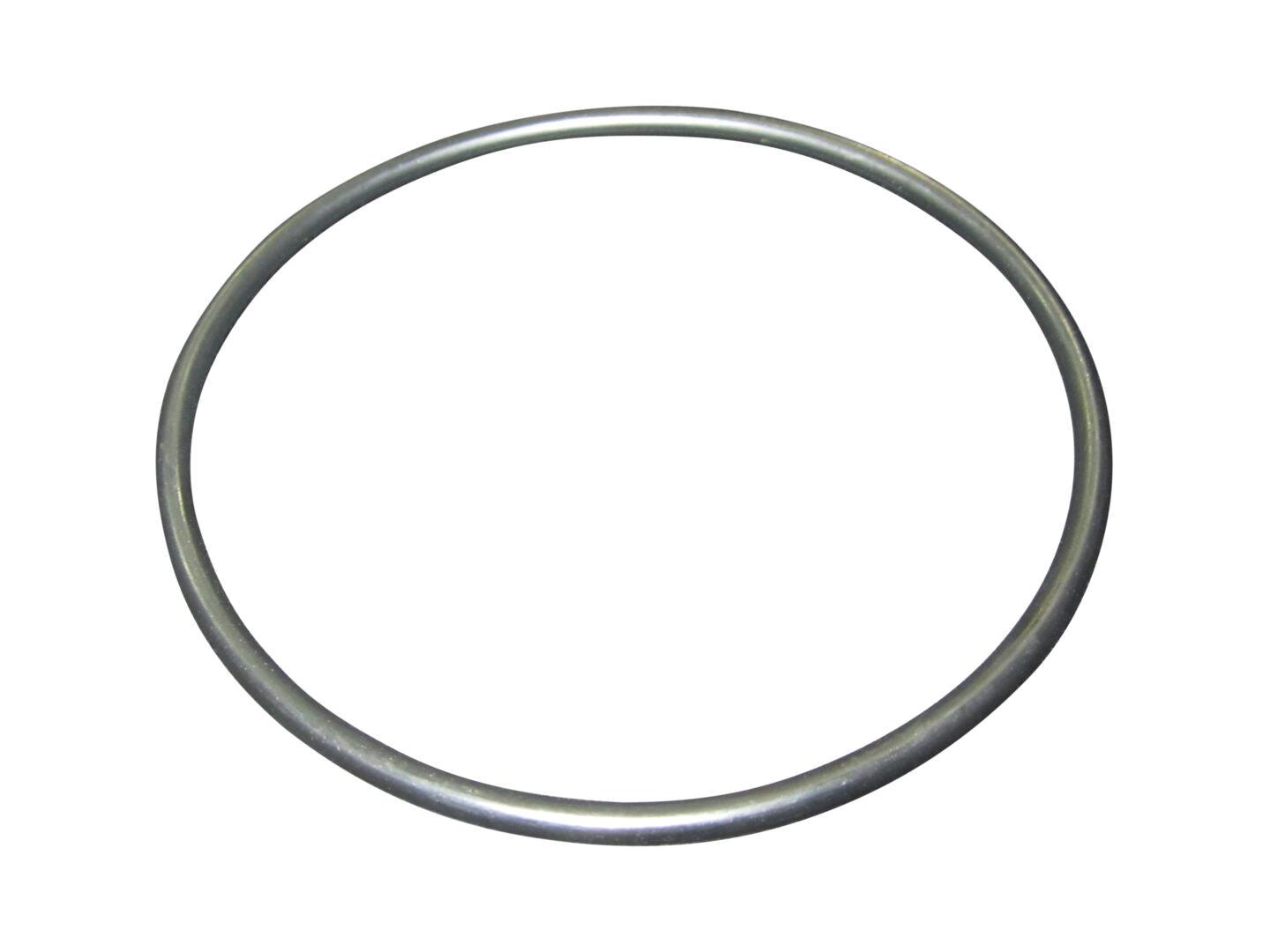 10731925 O-Ring | JLG