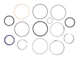 1102043 Seal Kit Cylinder | JLG