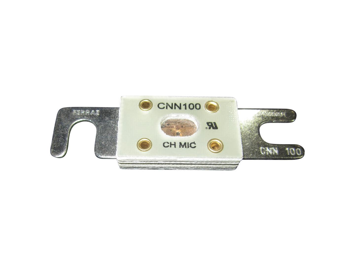 2400053 100 Amp Fuse | JLG