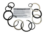 2900700 Seal Kit For 1681953 | JLG