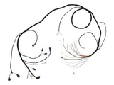 4923419 Harness, Engine Assembly Gm | JLG