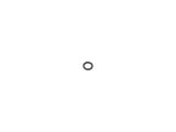 70004506 O-Ring | JLG