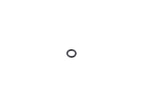 70004925 O-Ring | JLG