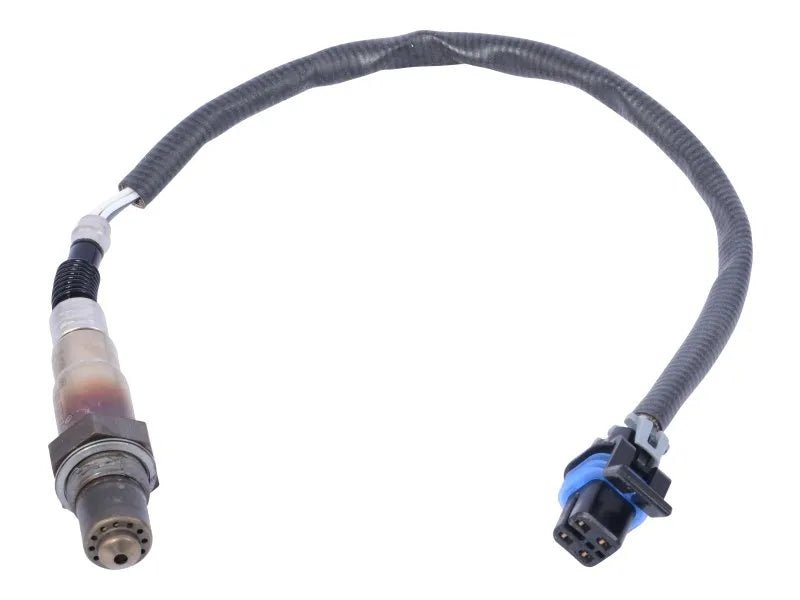 70006062 Oxygen Sensor | JLG