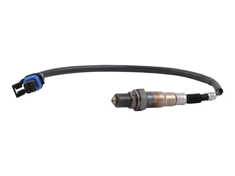 70006182 Oxygen Sensor | JLG