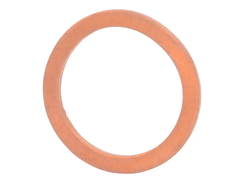 70006266 Sealing Ring | JLG