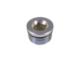 70023404 Screw Plug (Drain Plug) (70031076)  | JLG