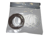 7021625 Seal Kit - Fluorocarbon/Viton | JLG