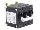 7024485 Circuit Breaker (Sup Protector) | JLG