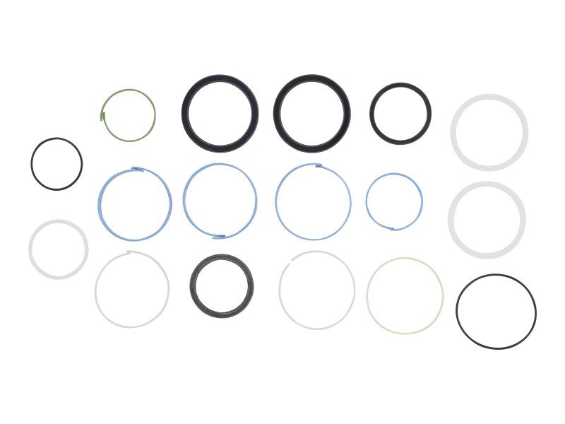 101251 Tele Cylinder Seal Kit | Genie