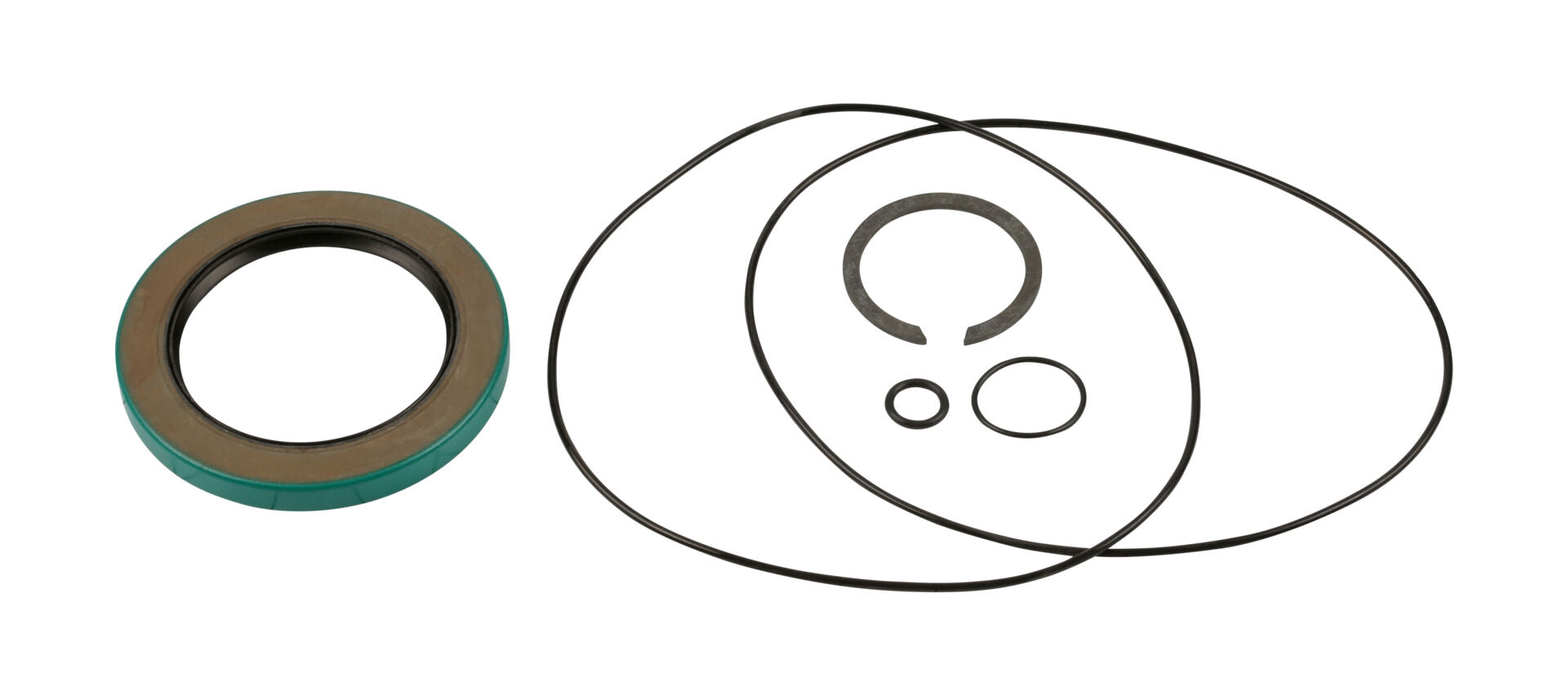 21142 Seal Kit (W1B) | Genie