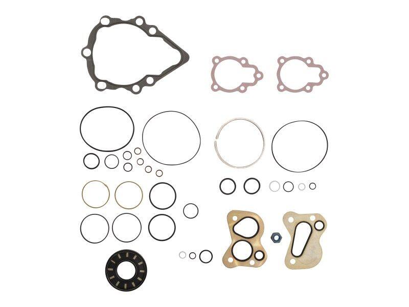 29739 Sauer-Dan Seal Kit | Genie