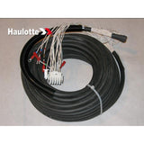 179C169780 30X1Mm2 No 2 Cable Bundle | Genuine Haulotte