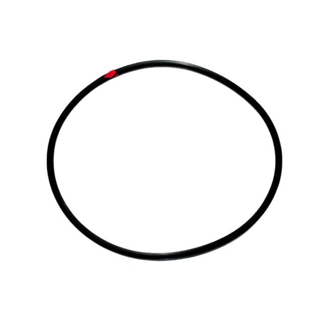 2325002880 Circlips | Genuine Haulotte