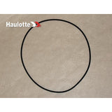 2399003820 Circlips | Genuine Haulotte