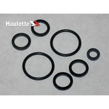 2421693990 Pack/Seals For Elect Ng6 | Genuine Haulotte