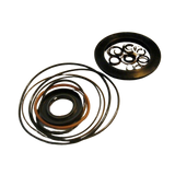 2421694230 Seal Kit | Genuine Haulotte