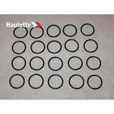 2505001320 Seal | Genuine Haulotte