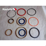 4000391310 Seal Kit Fl | Genuine Haulotte