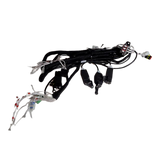 4000666810 Wire Harness-Comp10 | Genuine Haulotte