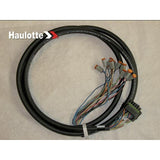 A-00785 Harness-4Wd Manifold-36 & 45 | Genuine Haulotte