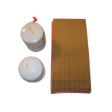 KKIT250H-LDW1L Motor Kit 250H | Genuine Haulotte