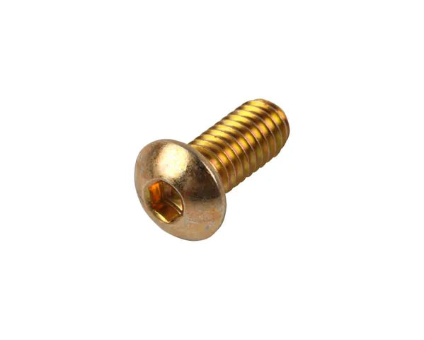 3900210 SCREW BH 5/16-18X.31X.75 B633 | JLG