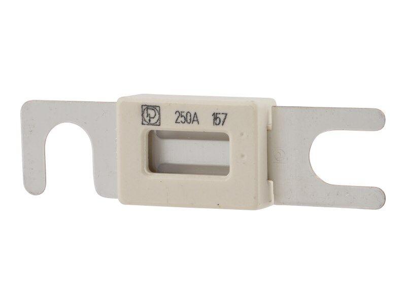 1001170485 Fuse, 250 Amp | JLG