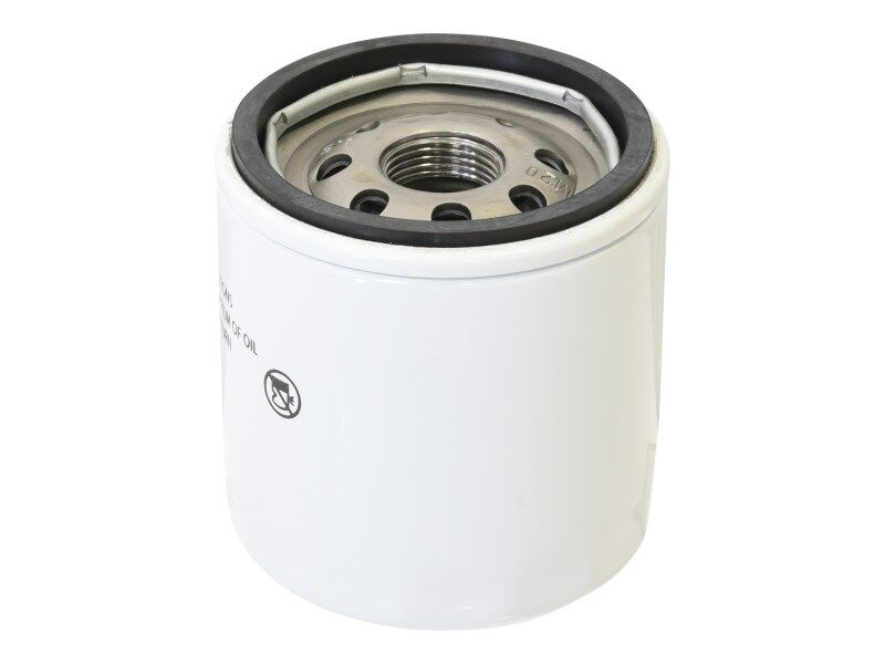 1001262409 Filter, Kubota Fuel | JLG