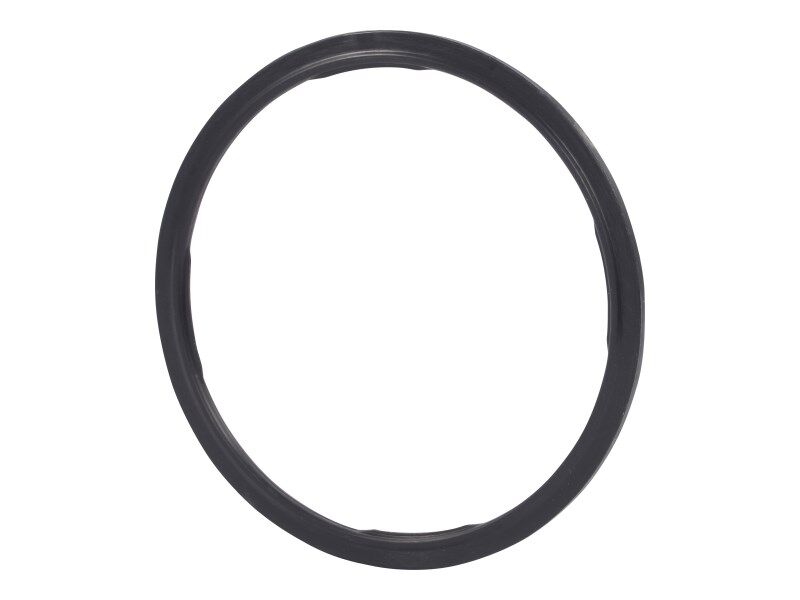 1100331 Filter Seal | JLG