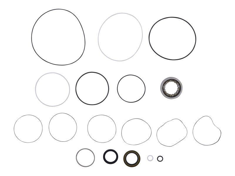 139542 Seal Kit | Skyjack