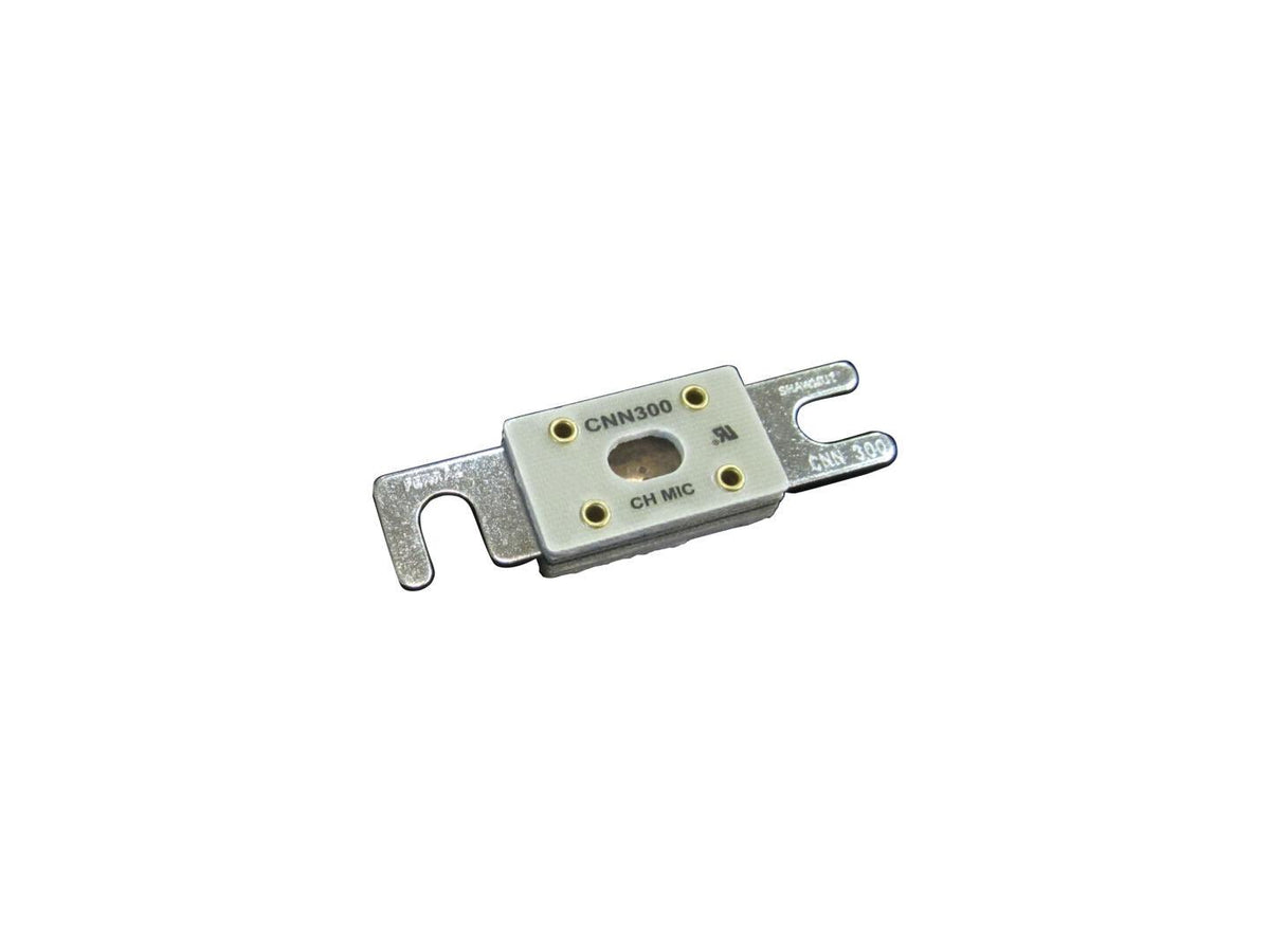 2400062 Fuse, 300A | JLG