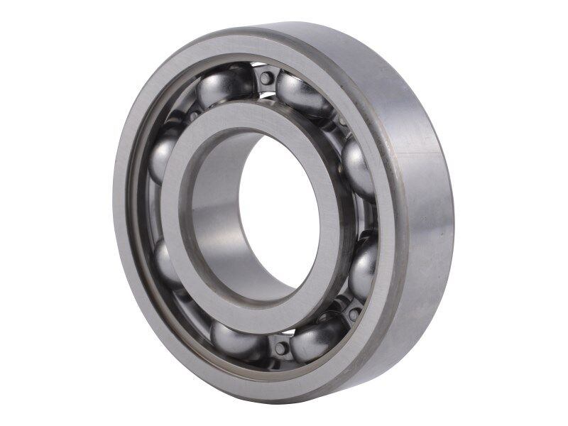 4204314 Bearing | Dana