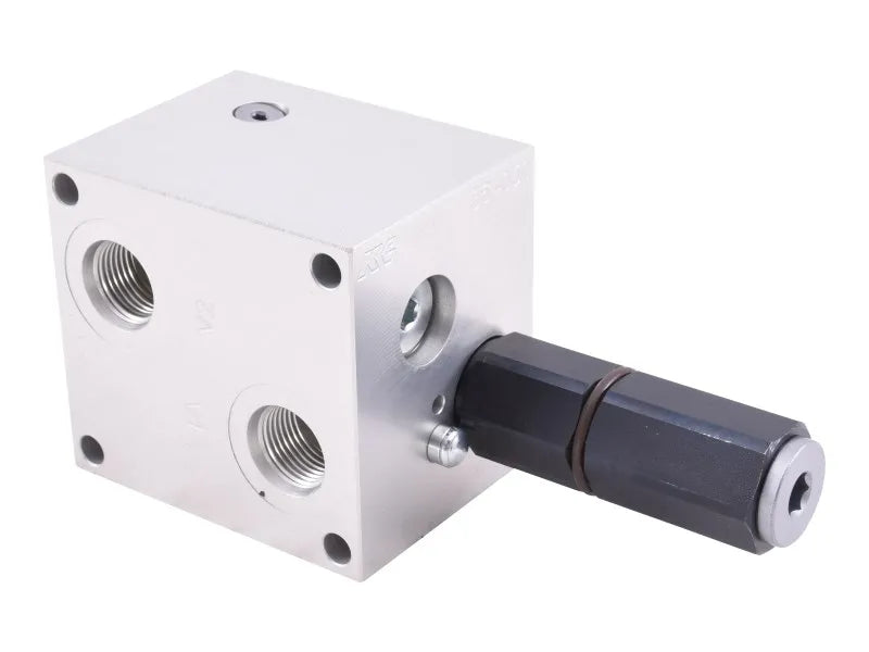 4641028 Dual Holding Valve | JLG
