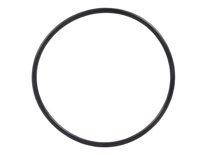 58222GT O-Ring Filter Assembly (60334)*** | Genuine Genie