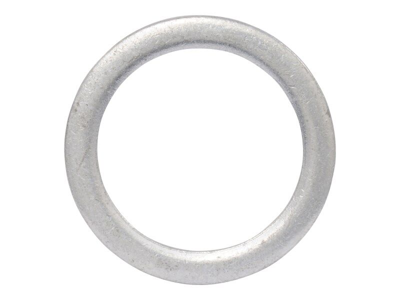 70004513 Sealing Ring | JLG