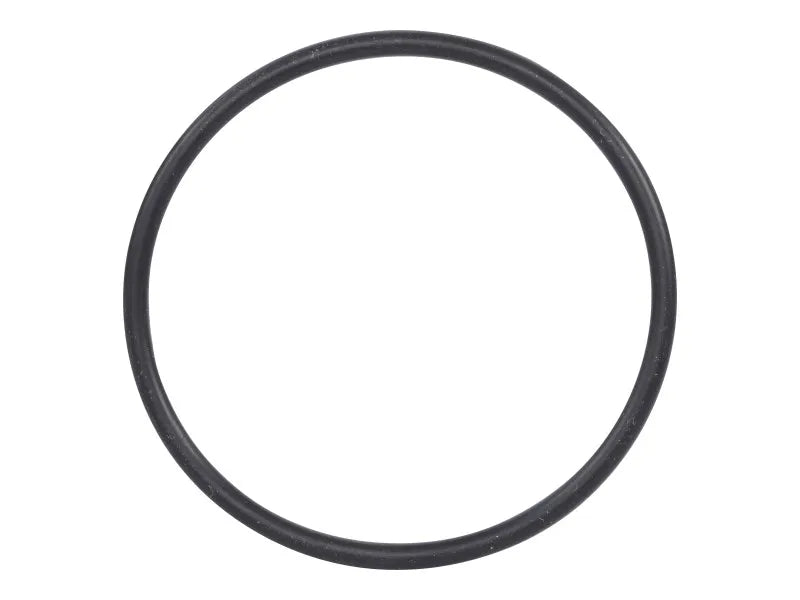 70006160 Mixer To Adapter O-Ring | JLG