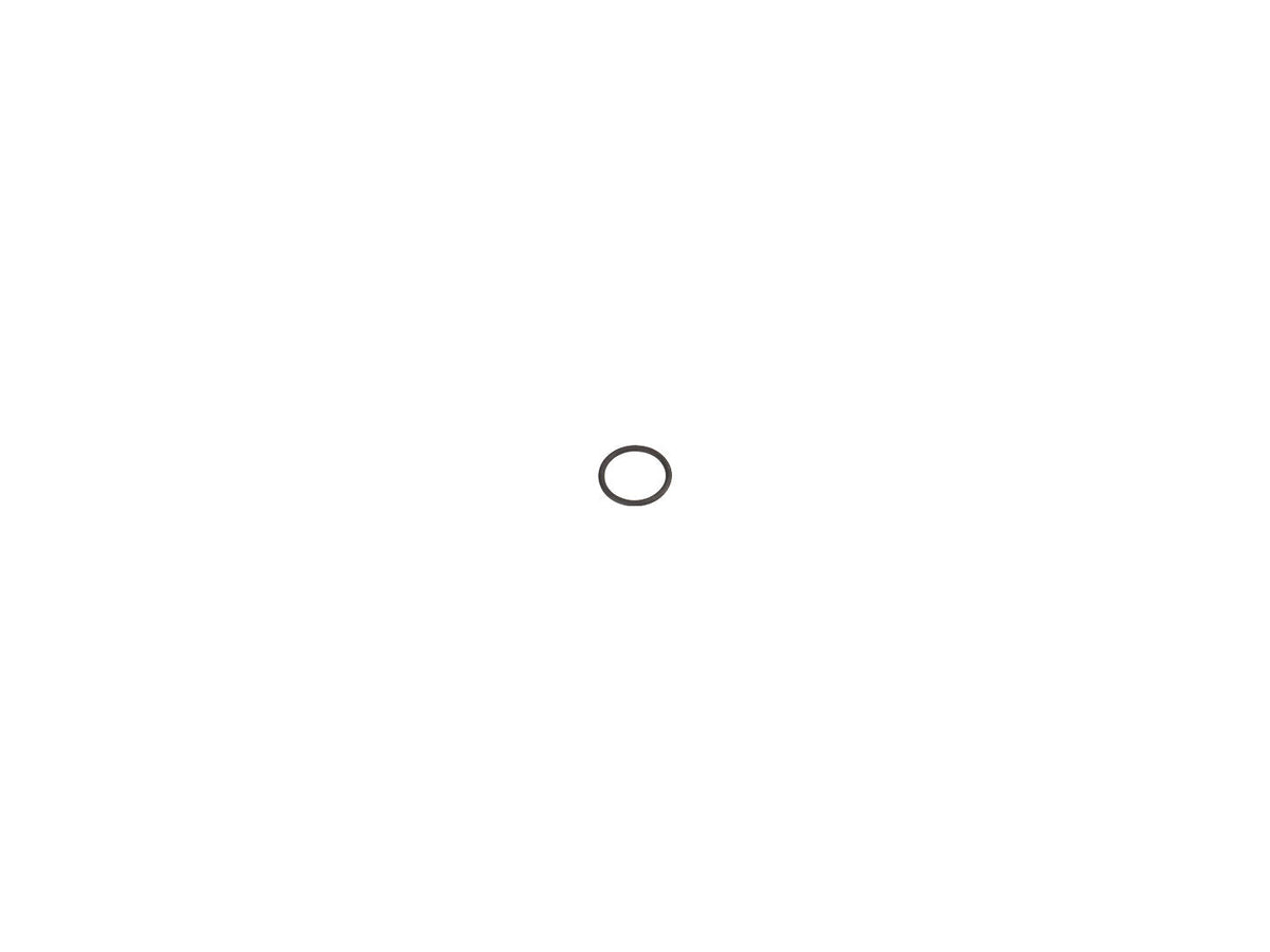 70026370 O-Ring | JLG