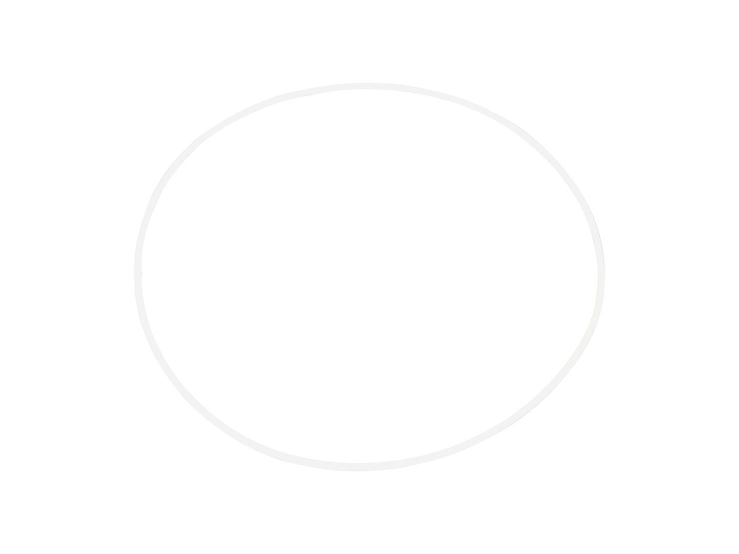 7017070 O-Ring | JLG