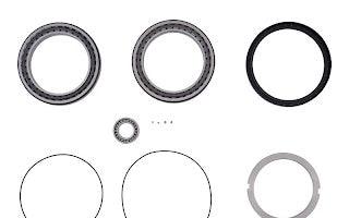 7021330 Planet Bearing Kit | JLG