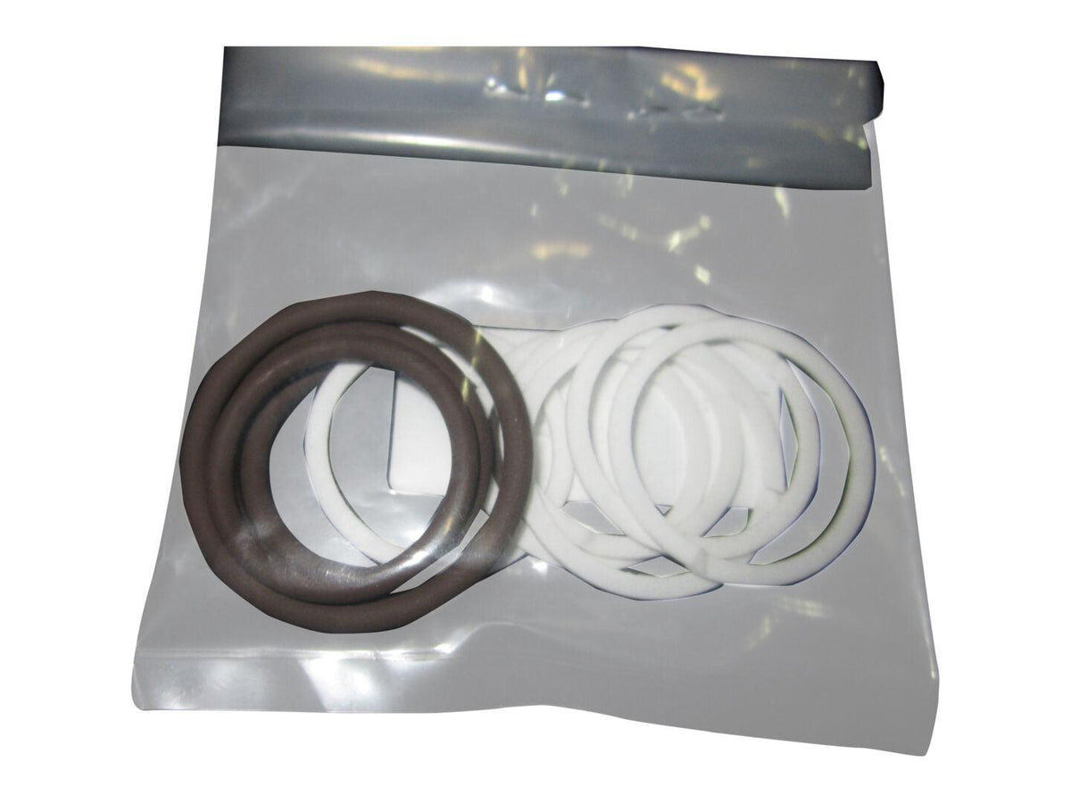 7021625 Seal Kit - Fluorocarbon/Viton | JLG