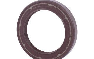 7024918 Seal, Shaft | JLG