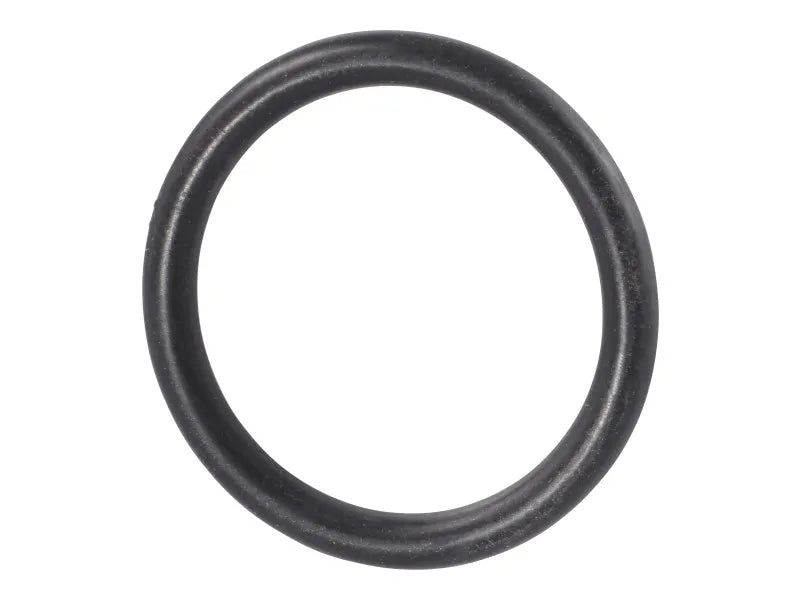 7026874 Fuel Pump Seal | JLG
