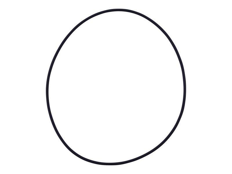7029304 O-Ring | JLG