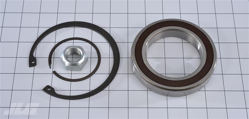 12-501-287 Kit Bearing & Ring | Dana