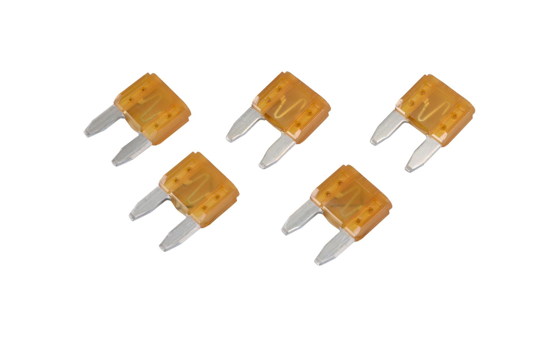 8229242-005 Atm-5 5 Pack Fuse | JLG