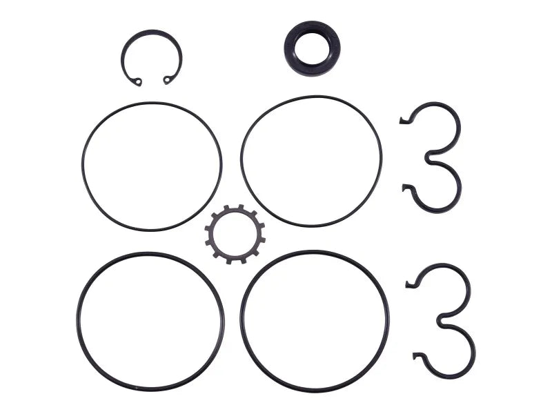 31249 Seal Kit For W900 Pump | Genie