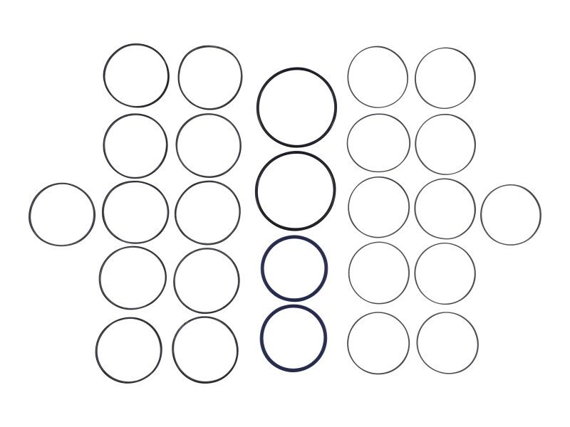 77520GT Swivel Seal Kit | Genie